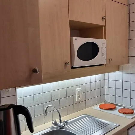 Agreable Aux Pieds Des Pistes Avec Balcon Et Animaux Toleres - Fr-1-181-2591 * La Plagne