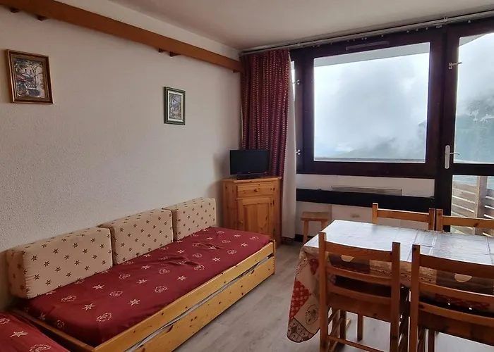 Agreable Aux Pieds Des Pistes Avec Balcon Et Animaux Toleres - Fr-1-181-2591 La Plagne