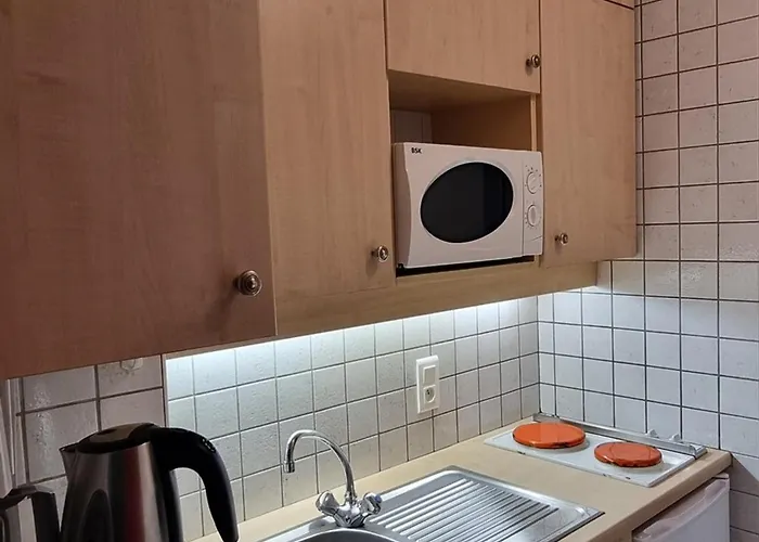 Agreable Aux Pieds Des Pistes Avec Balcon Et Animaux Toleres - Fr-1-181-2591 * La Plagne