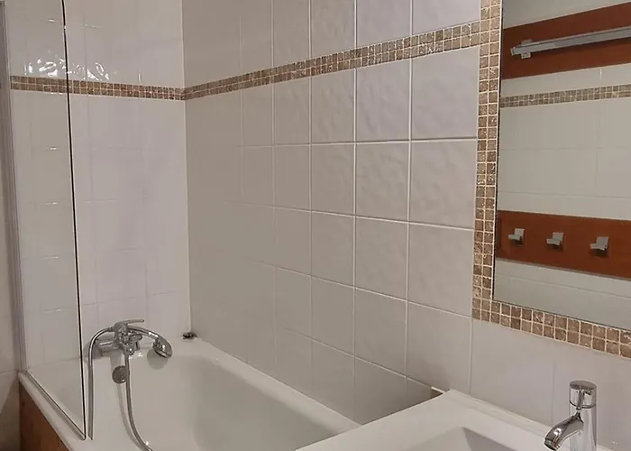 Agreable Aux Pieds Des Pistes Avec Balcon Et Animaux Toleres - Fr-1-181-2591 La Plagne