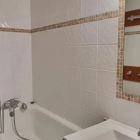 Agreable Aux Pieds Des Pistes Avec Balcon Et Animaux Toleres - Fr-1-181-2591 لا بلاني